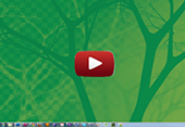 Silent Monitoring (Minimal Impact Workflow)