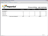 Report: Group Printing - User Summary