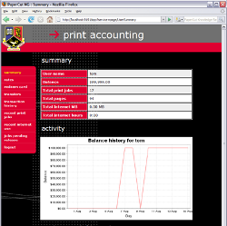 Customized user web interface look